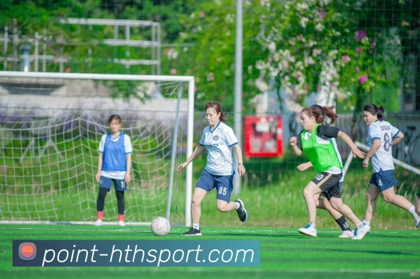 hth体育APP 封面图